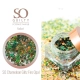 Hexagon glitter nail art SO CHAMELEON GLITZ COLORS